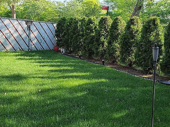 back yard