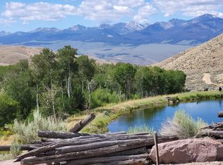 451 Peterson Creek Rd, Leadore, ID 83464