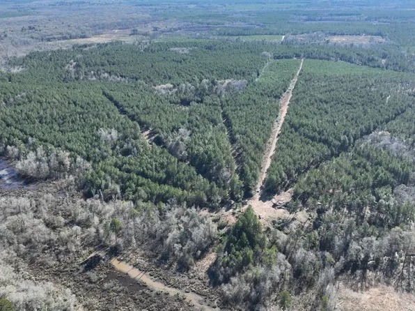 763 Social Springs Rd, Ringgold, LA 71068