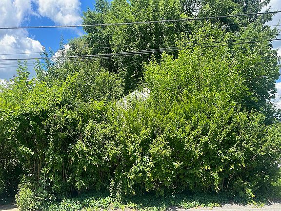 2nd image of 642 Ridge Ave