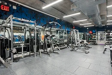 Rented by Bold New York