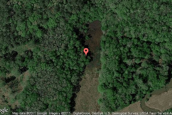 Map View