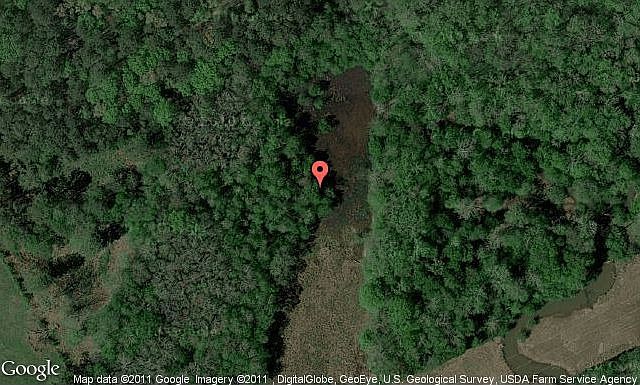 Map View