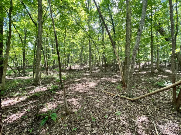 0 Amy Ln, Moneta, VA 24121