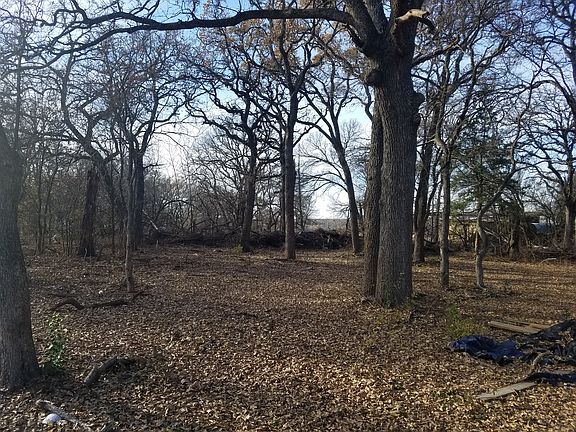 Large trees 