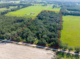 2450 SW 25th Ave, Bell, FL 32619