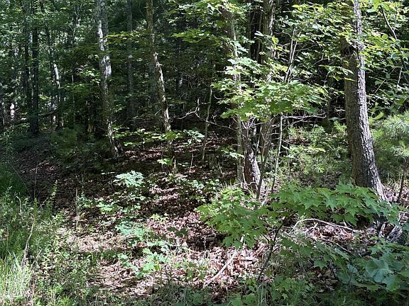 3rd image of 3 Old Furnace Rd Lot 3