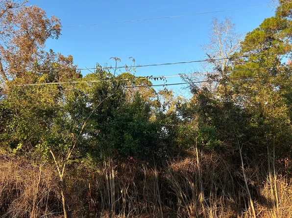 0 Bonaire St, Mc Rae Helena, GA 31055