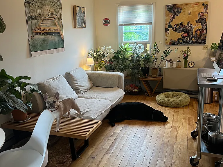 237 Elmwood Ave #6 — Photo 10