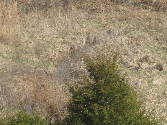5th image of 0 Dug Hill Rd