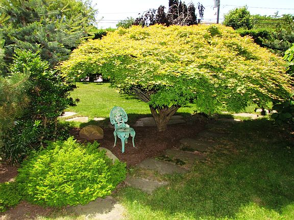 5th image of 206 Essex St