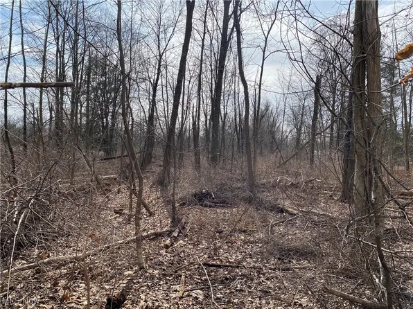 Arcadia St NW, Canal Fulton, OH 44614
