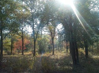 Tbd Old Swamp Road Sandy Run, Swansea, SC 29160