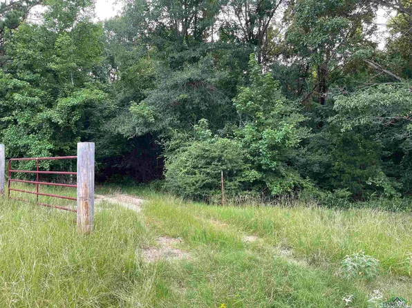 County Road 183d, Overton, TX 75684