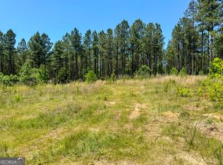0 George Smith Rd, Talbotton, GA 31827
