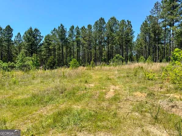 0 George Smith Rd, Talbotton, GA 31827