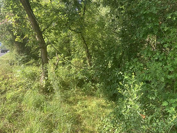 5th image of 0 Pittman Center Rd #0