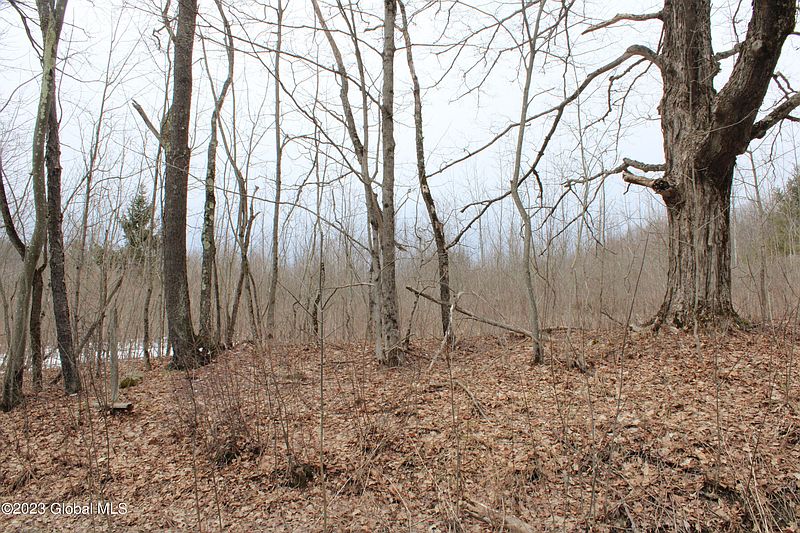 3rd image of 279 McCarthy Road Road