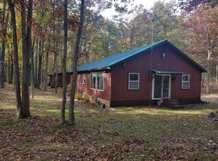 9125 N Irons Rd, Irons, MI 49644