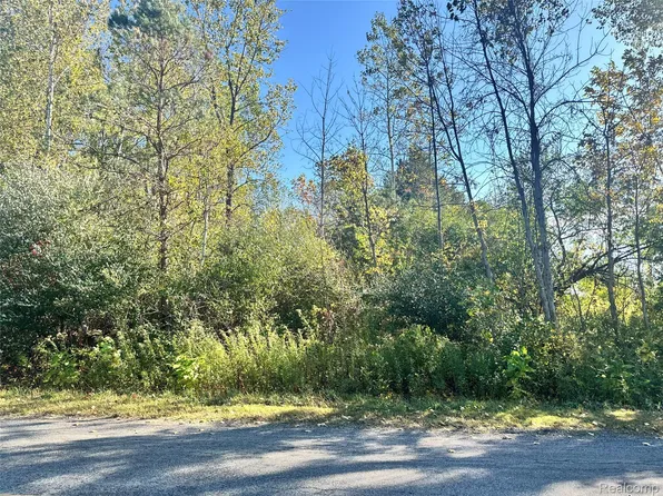 0 S Eleven Mile Rd, Linwood, MI 48634
