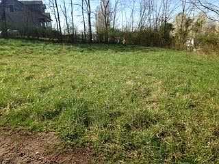 2nd image of 116 Polk St Lot 9