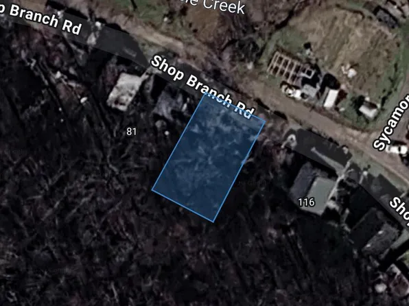 0 Shop Br, Wayland, KY 41666