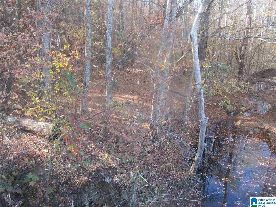 2nd image of County Road 5 #1