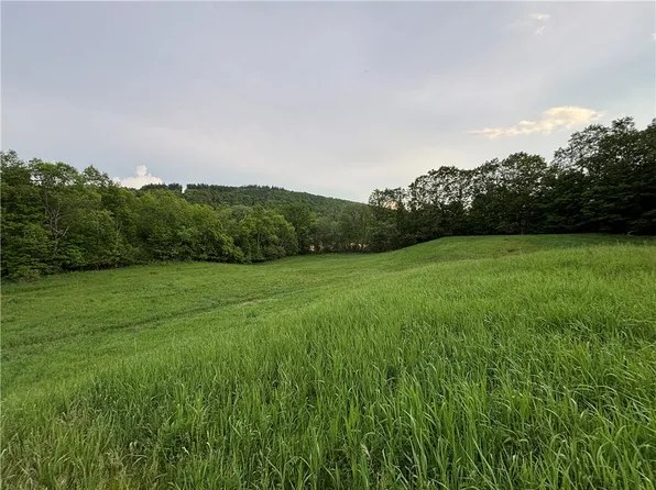 1738 County Highway 34, Schenevus, NY 12155