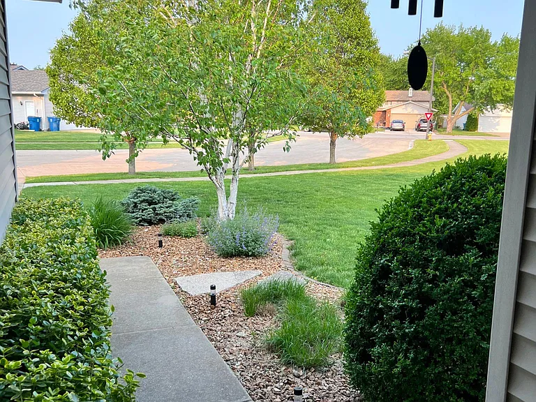 1155 Swan Dr — Photo 5