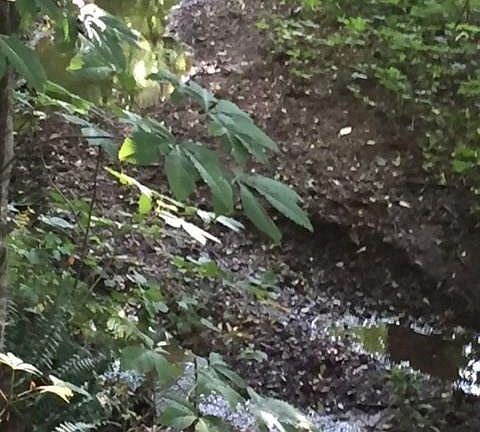 5th image of 2708 Barger Rd