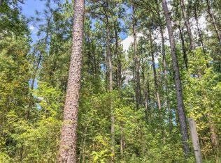 0 Union Springs Rd, Corrigan, TX 75939