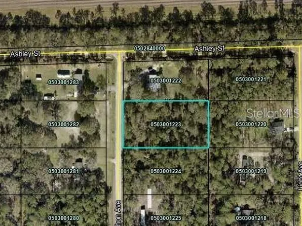 9610 McMahon Ave, Hastings, FL 32145