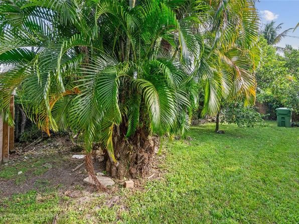 miami-florida-442004746 picture