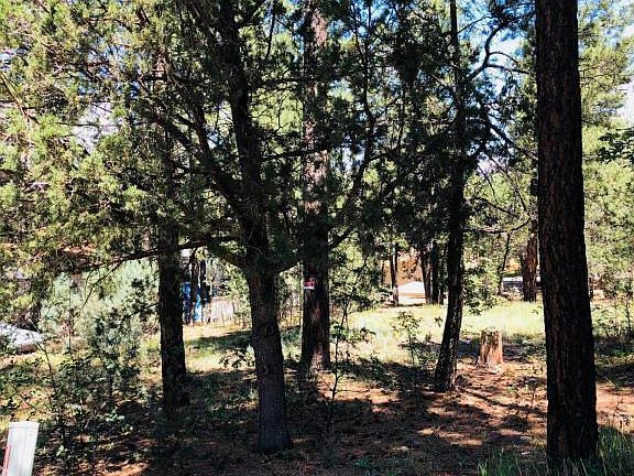 3rd image of 4161 Antelope Ln