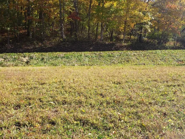 884 Laurel Run Rd, Tallmansville, WV 26237