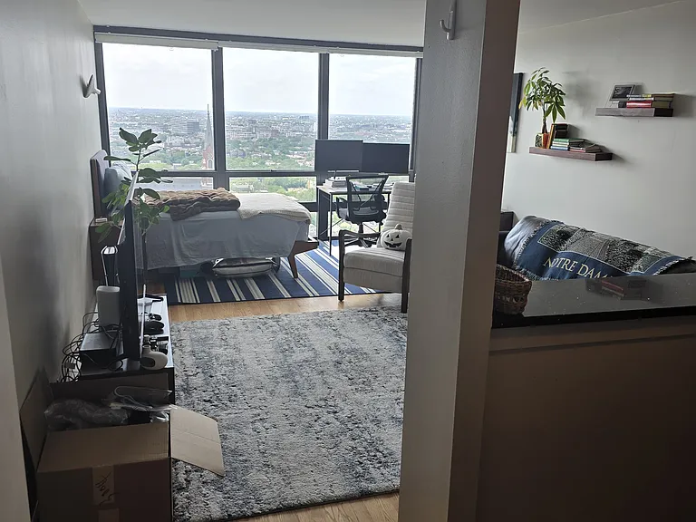 1636 N Wells St #3004 — Photo 6