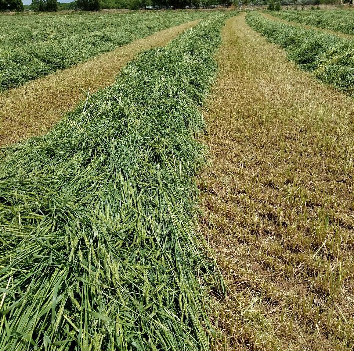 Canal Rd, Veguita, NM 87062 Zillow