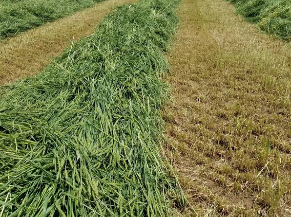 Canal Rd, Veguita, NM 87062