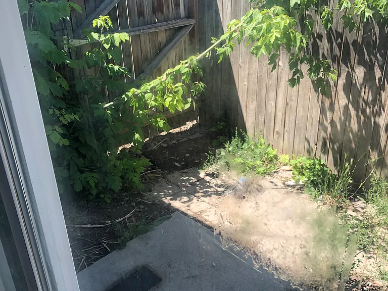 3707 McCall St #B — Photo 19