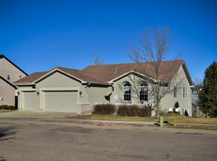 5669 Bridlespur Ridge Pl, Colorado Springs, CO 80918