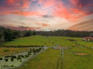 1850 Sloans Ridge Rd #2900, Groveland, FL 34736