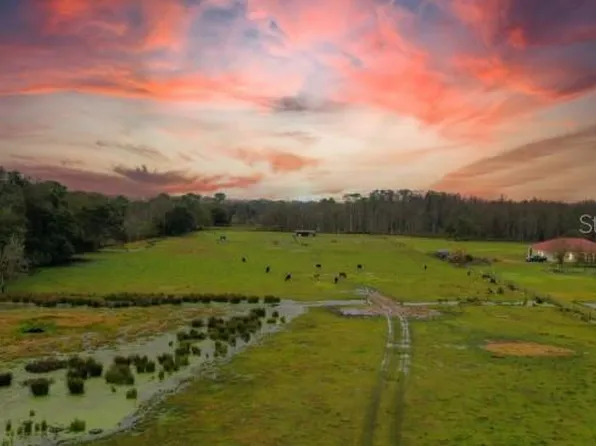 1850 Sloans Ridge Rd #2900, Groveland, FL 34736