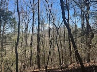 14 Butler Creek Rd, Cherry Log, GA 30522