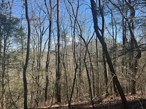 14 Butler Creek Rd, Cherry Log, GA 30522