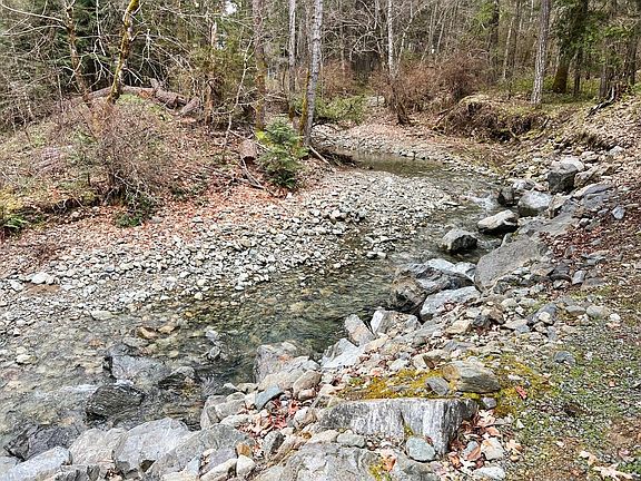 2nd image of 8081 W Evans Creek Rd