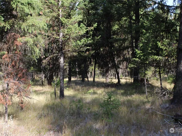 111 TBD Morgan Mountain, Tonasket, WA 98855