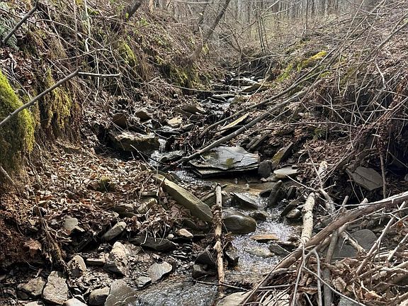 2nd image of Osweld Johnson Rd