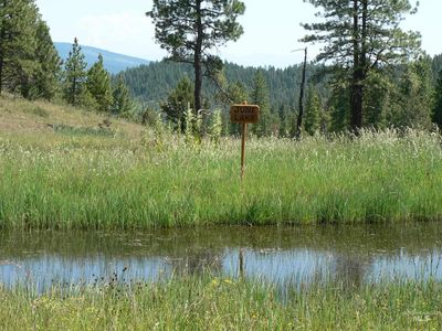 National Forest Dev Rd #1170, Sumpter, OR, 97877