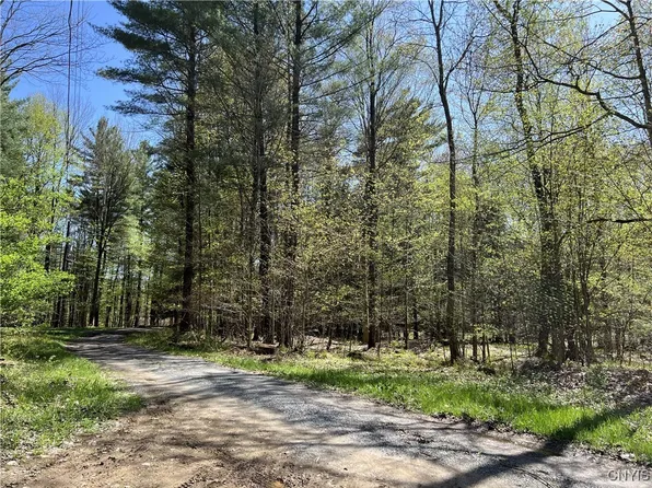 Hemlock Dr #46, Lowville, NY 13367