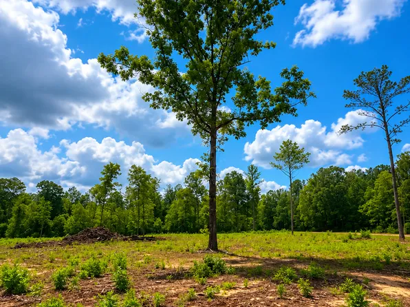 0 White Rd #1, Pine Mountain, GA 31822